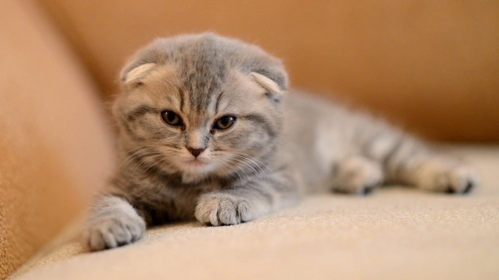 поел...можно и поспать.