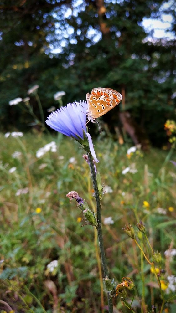 Photograph by Джемма Манукян