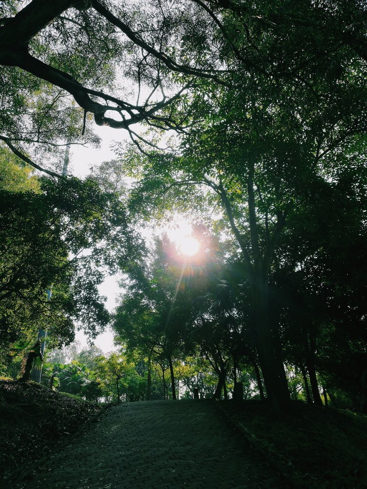 Nature Sun