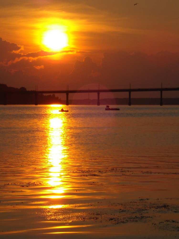 Photo #3415111