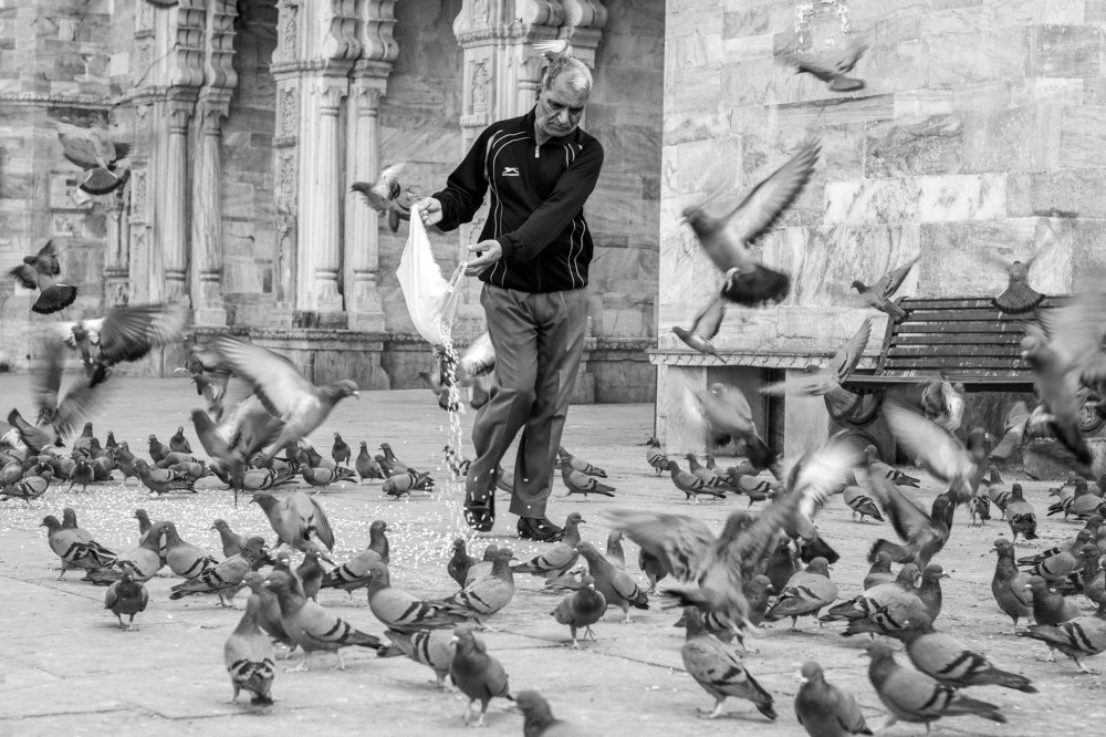 Bird man