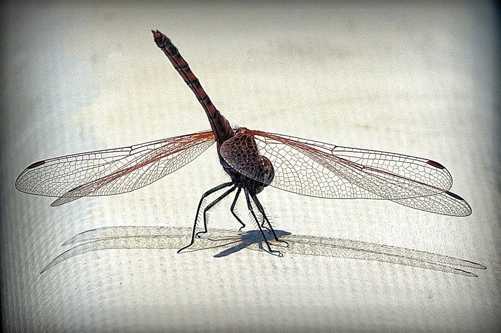 За 2 с до взлета