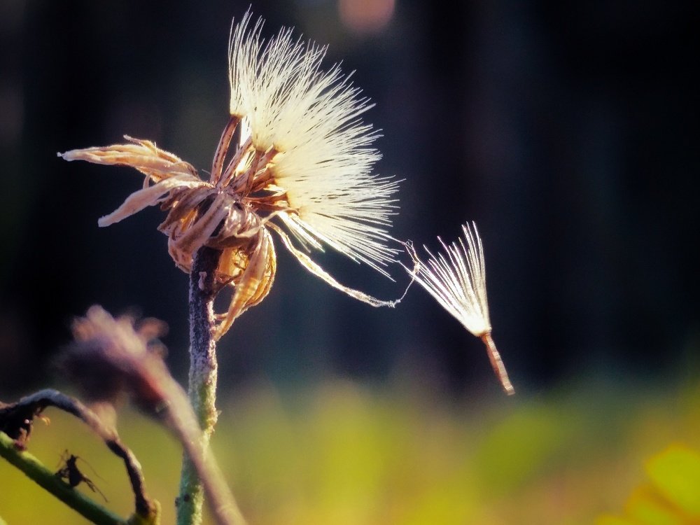 Родители и дети