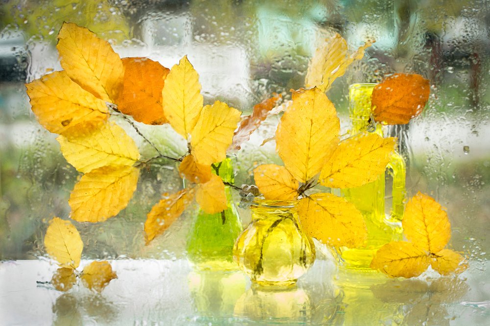 Золото осени