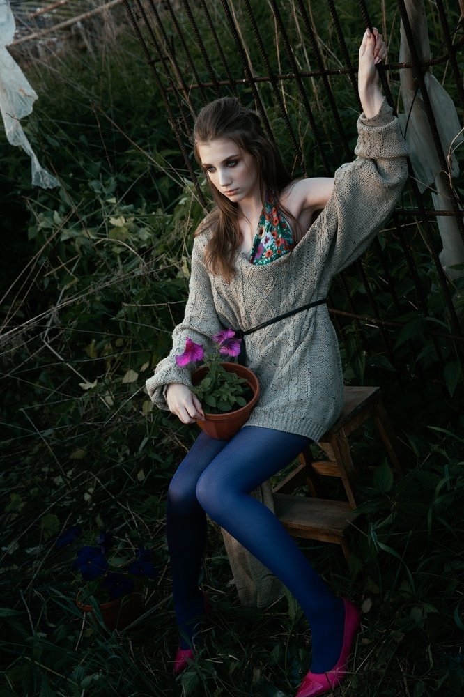 Полуночные фиалки