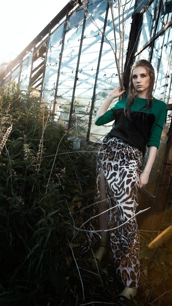 Сумерки августа