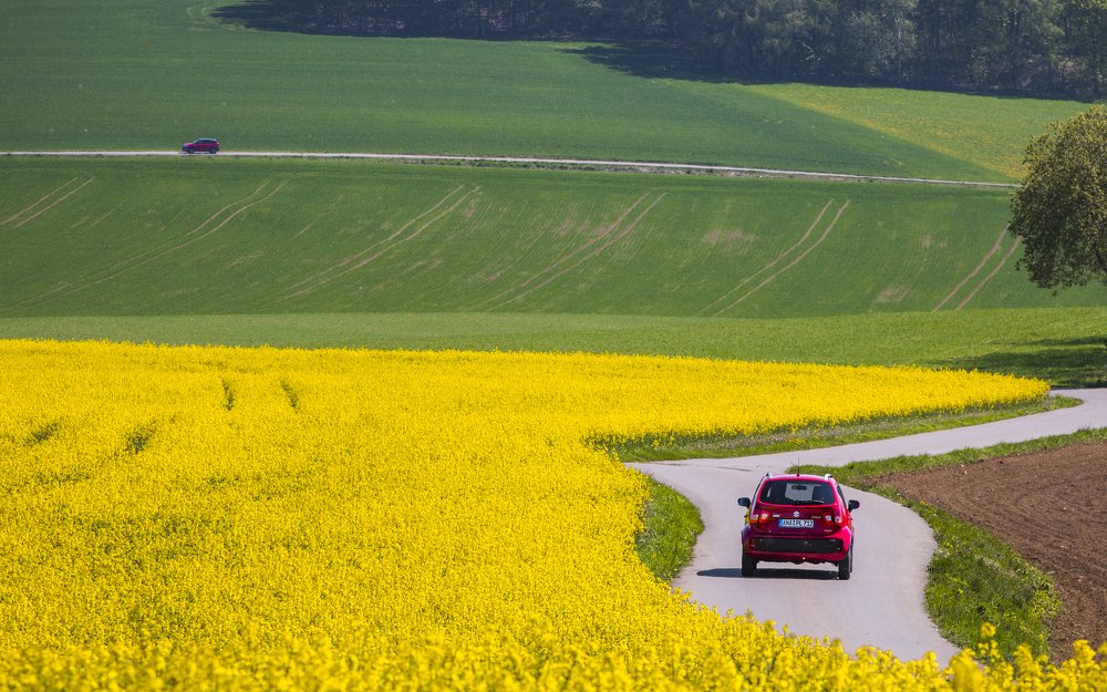 Фотография автора Филиппов Дмитрий