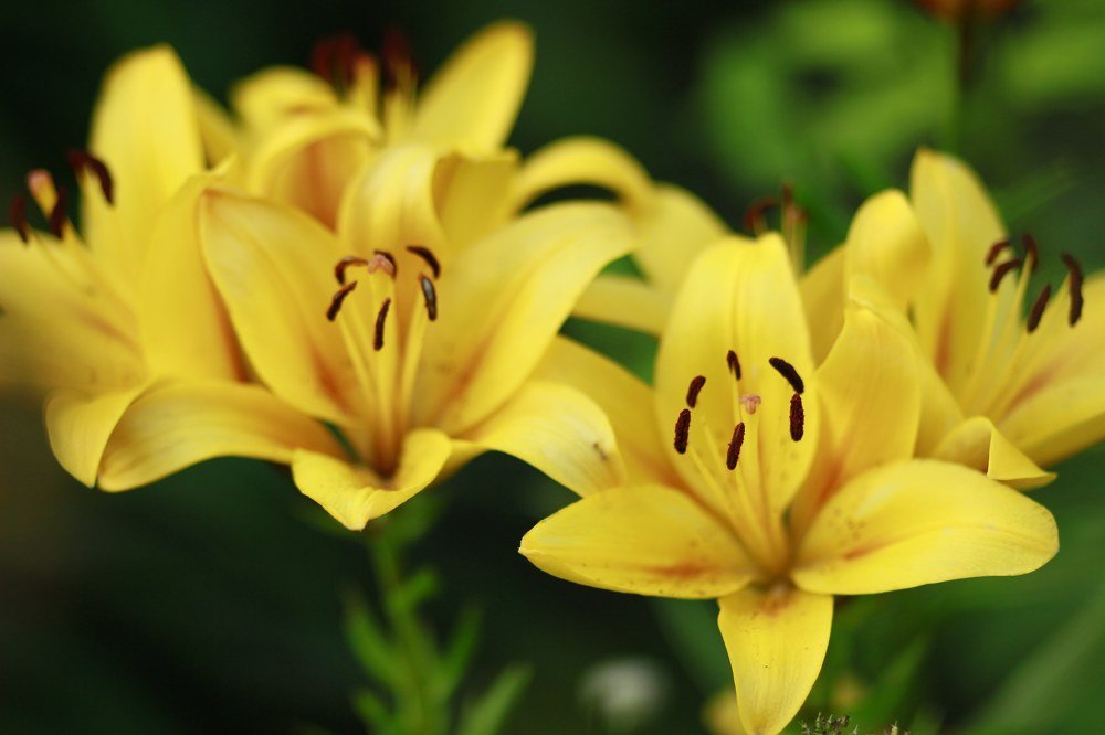 Photograph by Нина Кузьмина