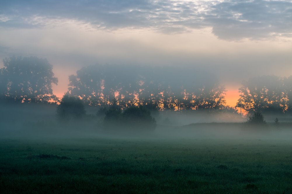 Рассветный туман в Боголюбово