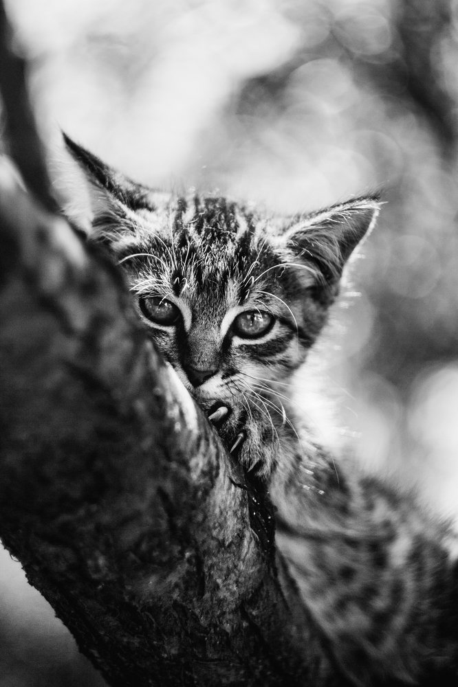 Photograph by Olesya Mikhailova