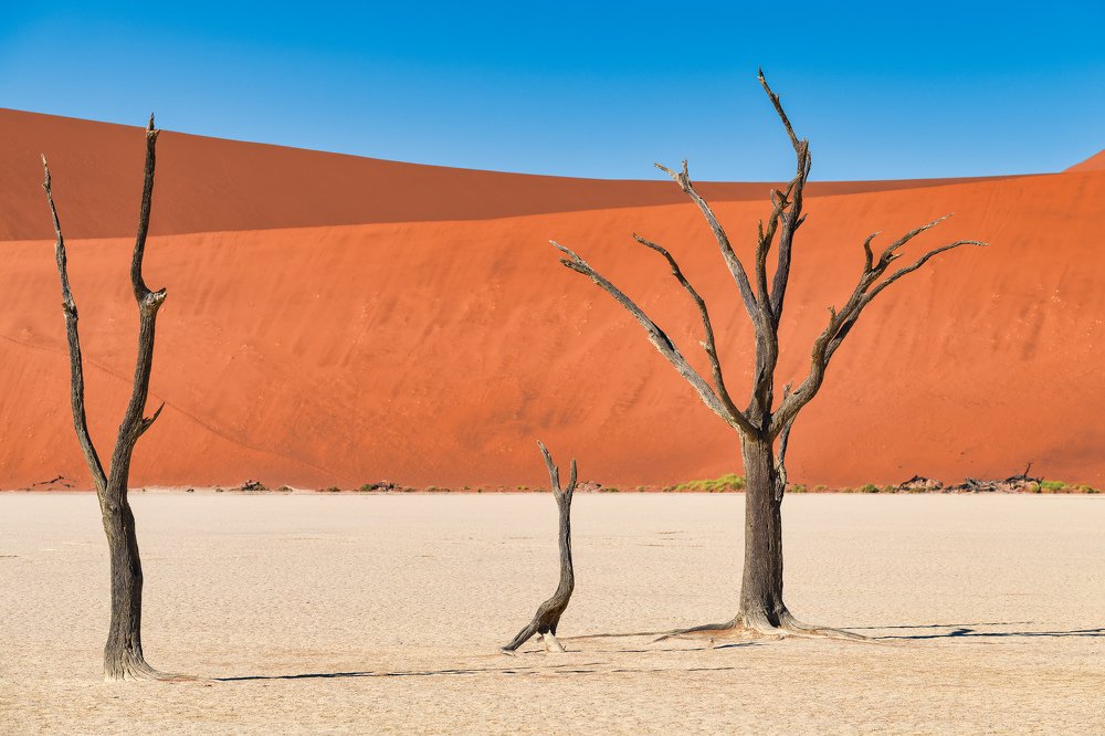 DeadVlei