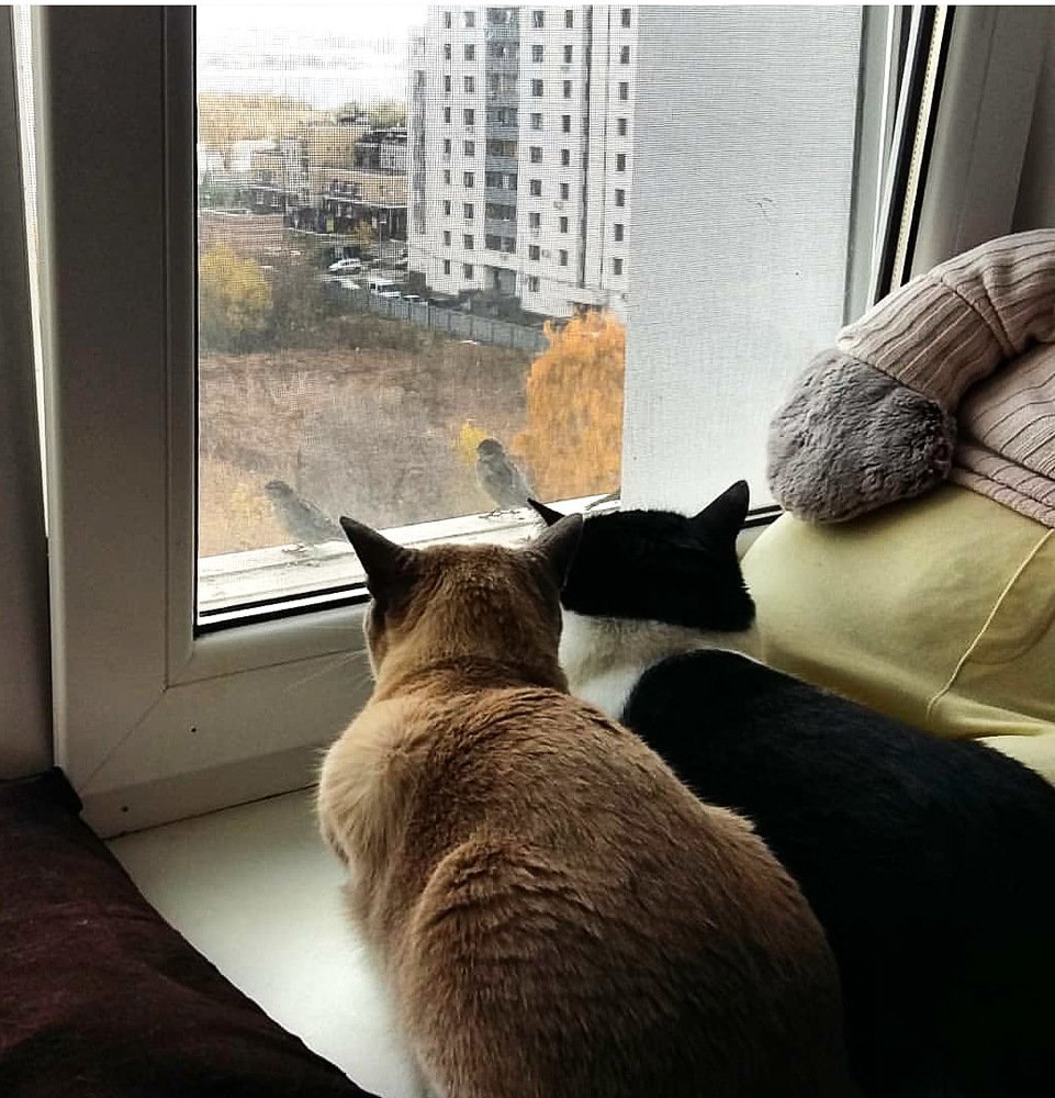 Параллельные миры