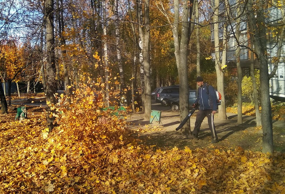 Повелитель осени