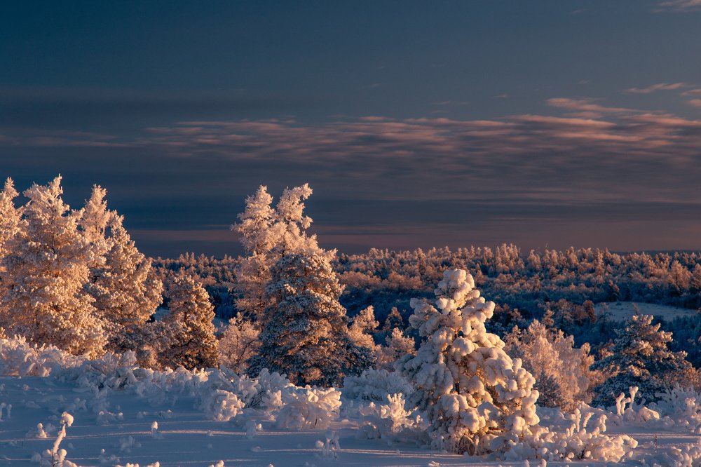 В объятиях снега