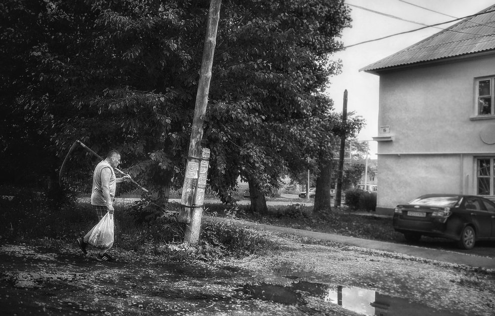 Photograph by Эдуард Саитгалеев