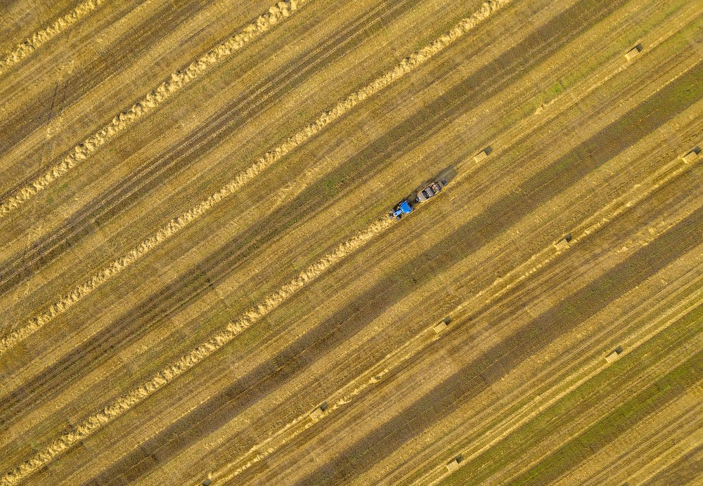 Photograph by Игорь Кляхин