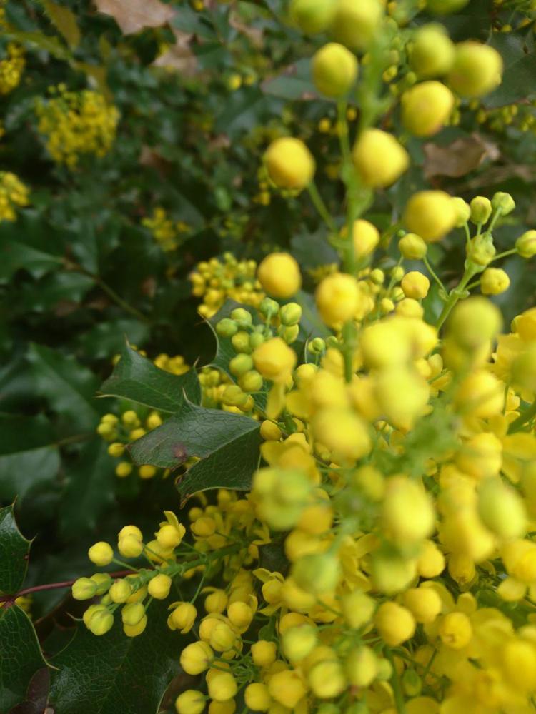 Photograph by Татьяна Савченко