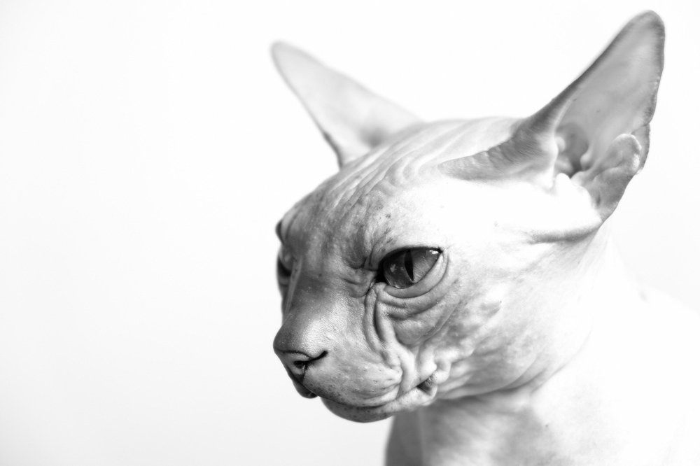 Photograph by Ольга Челдыкова