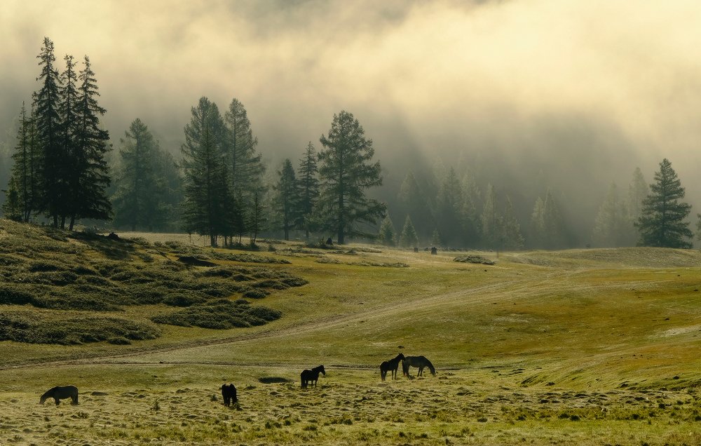 Photograph by Ольга Челдыкова
