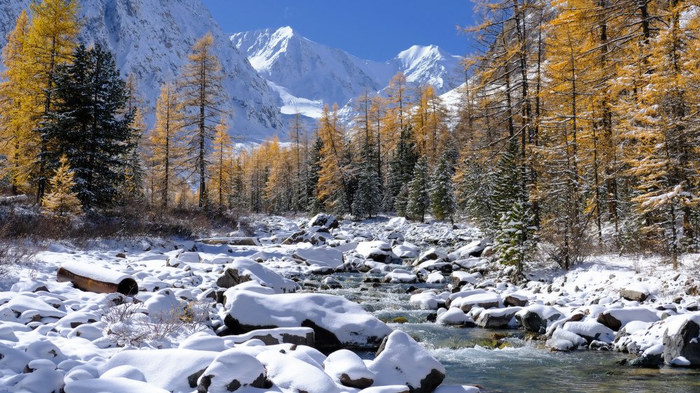 Photograph by Ольга Челдыкова