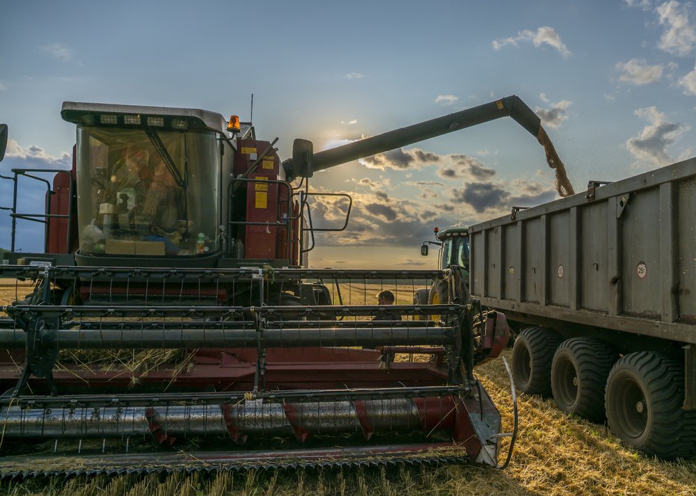 Photograph by Игорь Кляхин