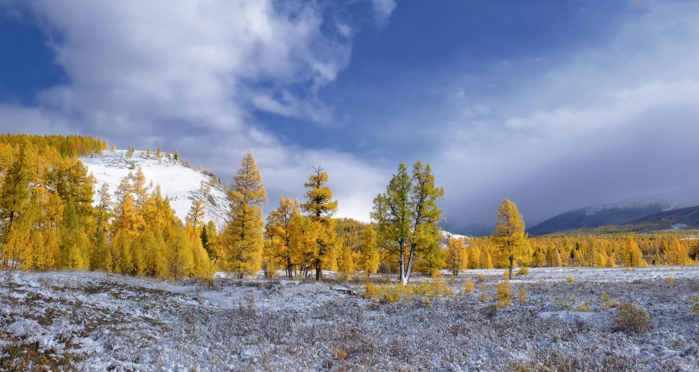 Photograph by Ольга Челдыкова