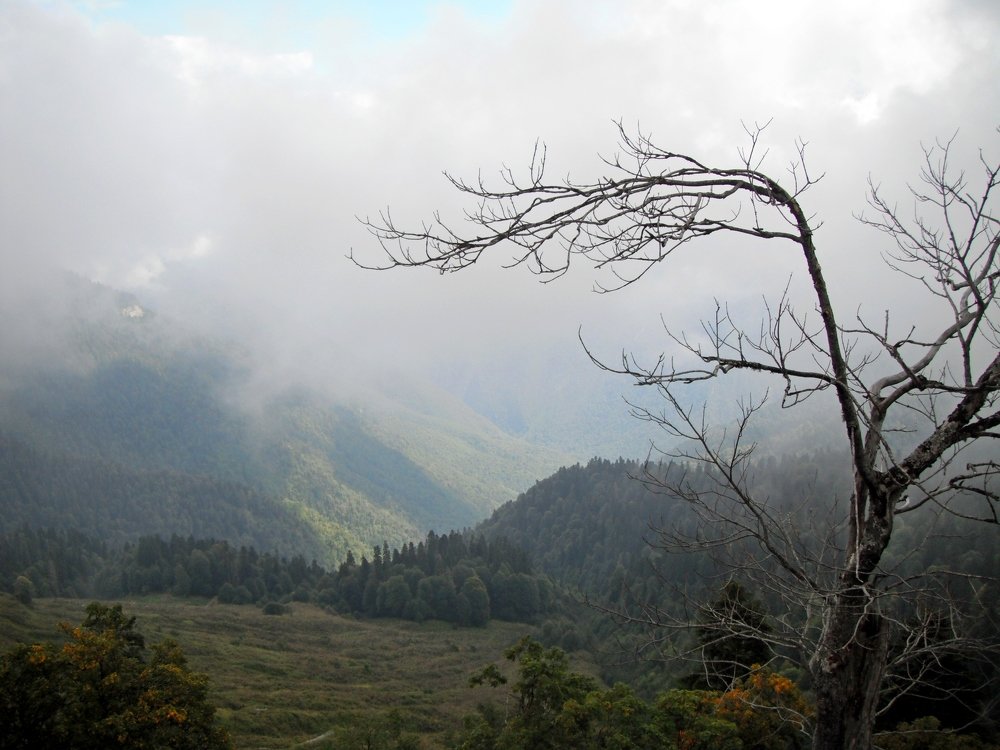 Абхазия - горы