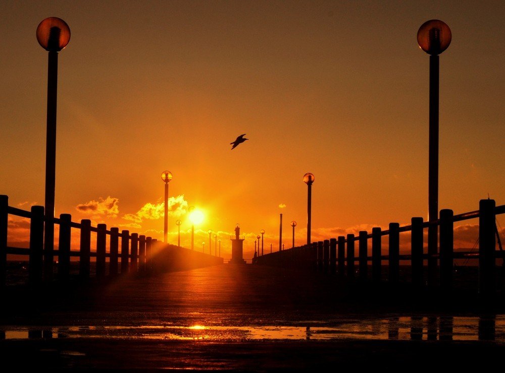 Flying in the sunset!