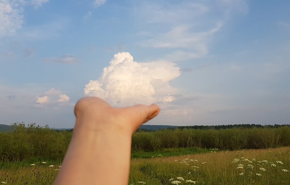 Белое, пушистое