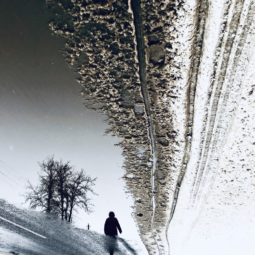 Дорога домой