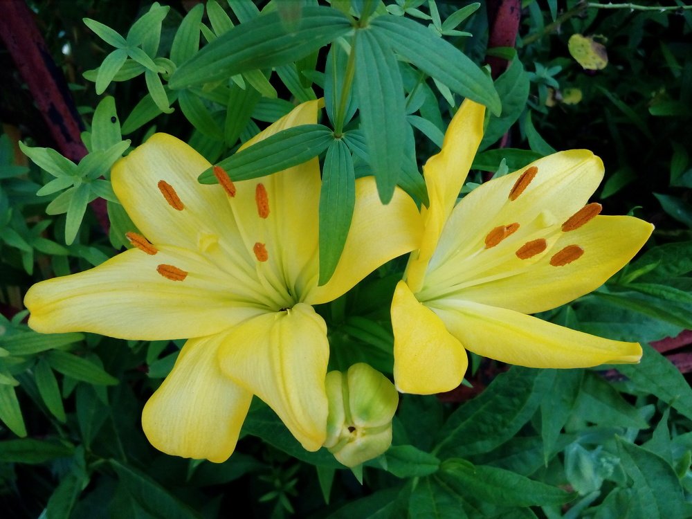 Photograph by Ирина Марченко