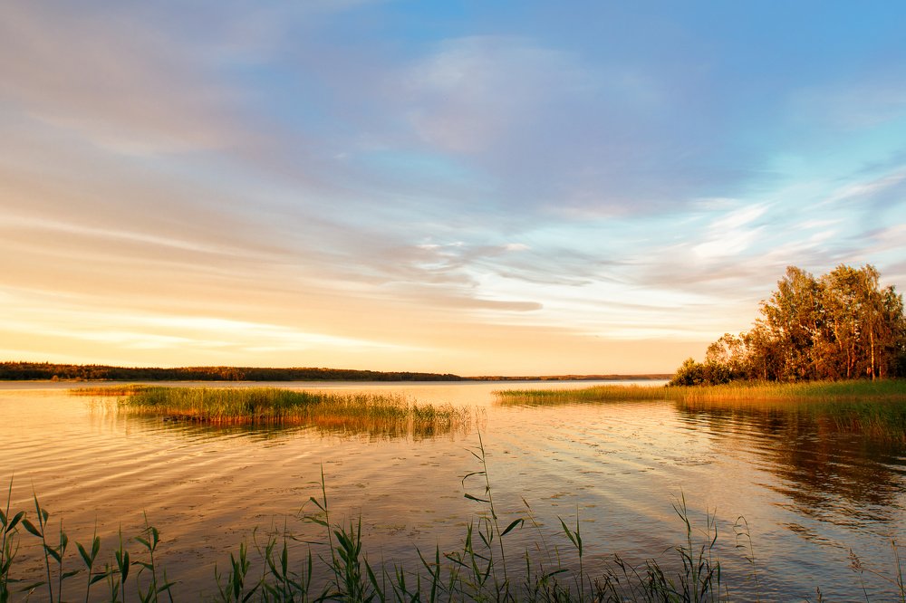 Photograph by Nau-Nau