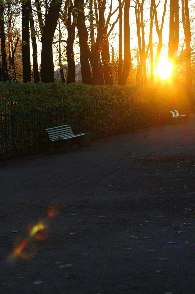 Луч солнца золотого