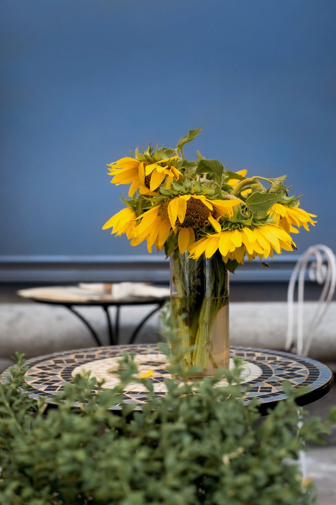 Фотография автора Денис Сухинин