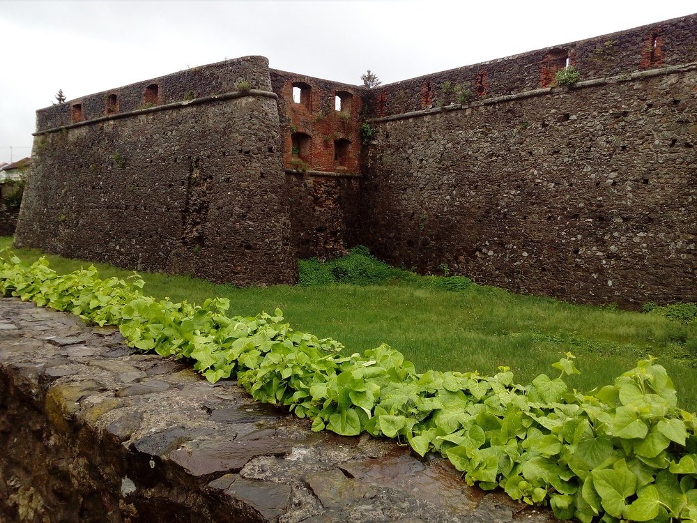 Photograph by Ирина Марченко