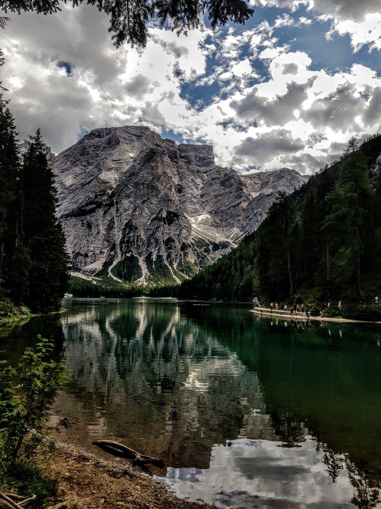 I riflessi