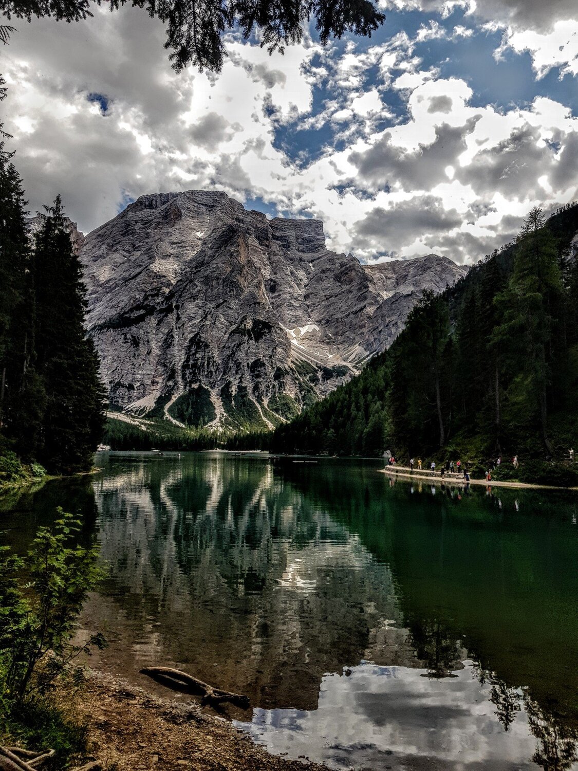I riflessi