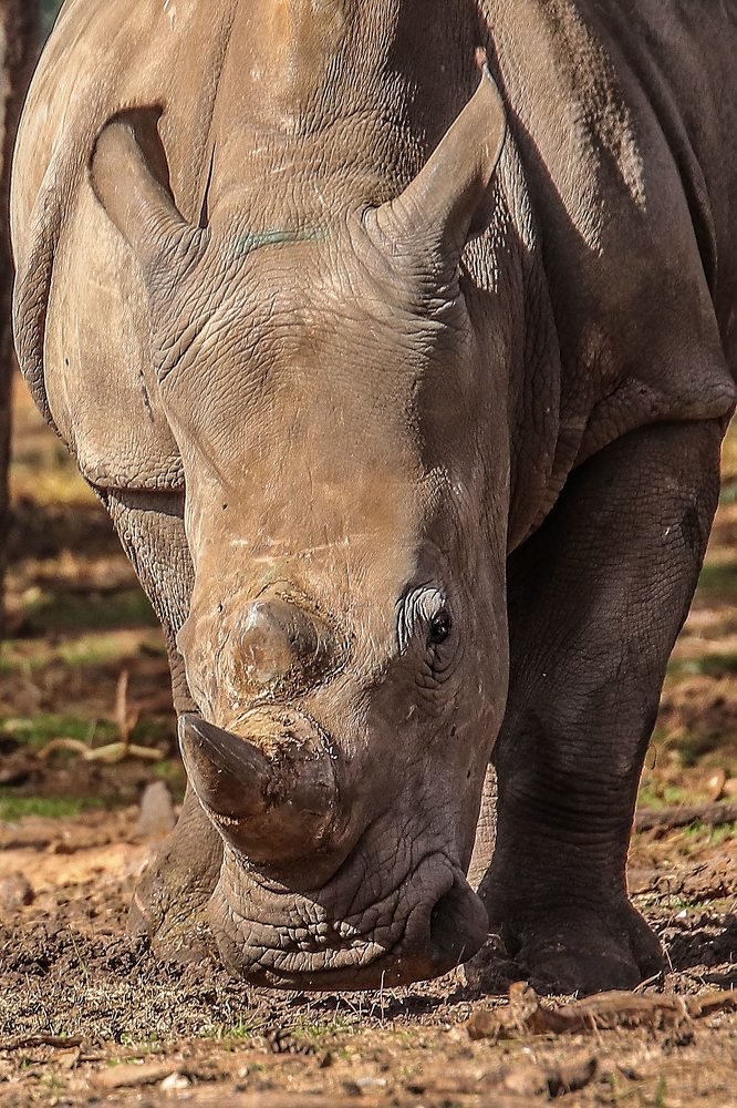 Photograph by Galina Rashap