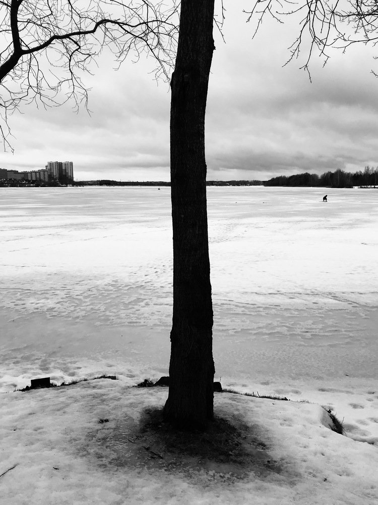 Графика зимы