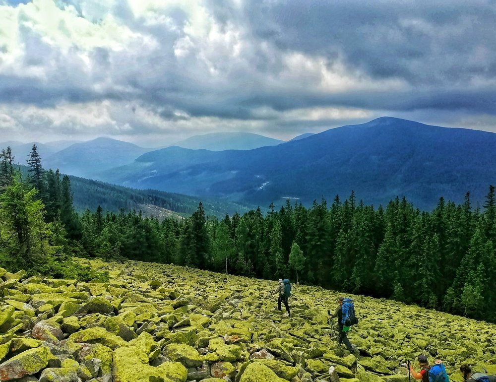 Карпати