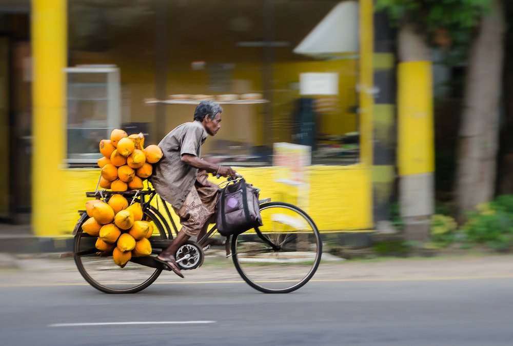 Купил кокосов