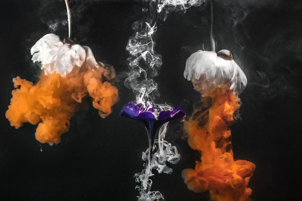 Photograph by Иоанн Степанченко