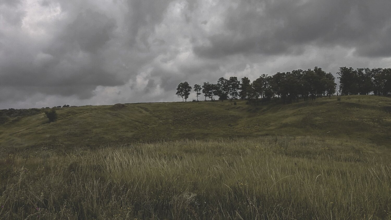 dark sky