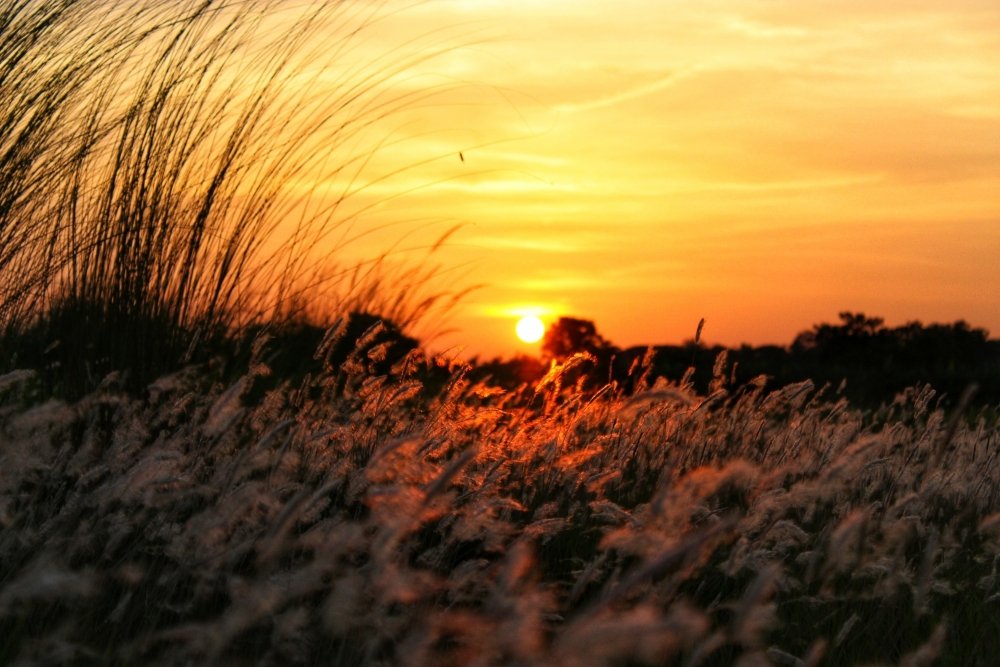 We witnessed the Sunset after a long time