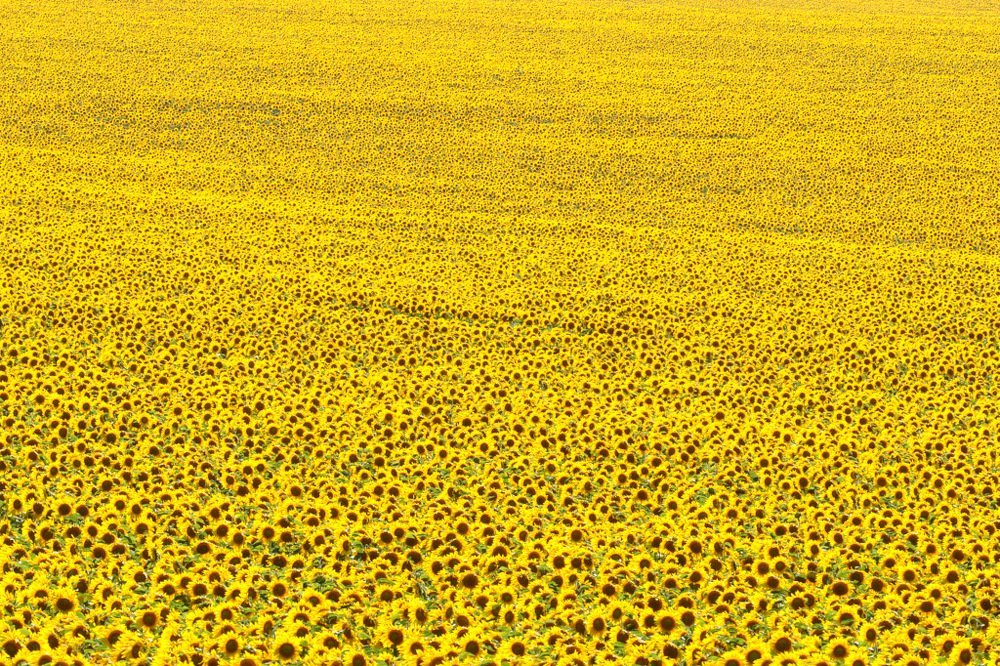 Photograph by Степанов Евгений