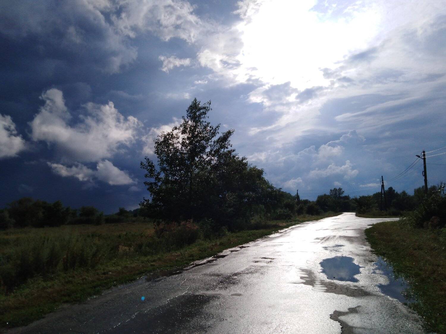 Photo #3416791
