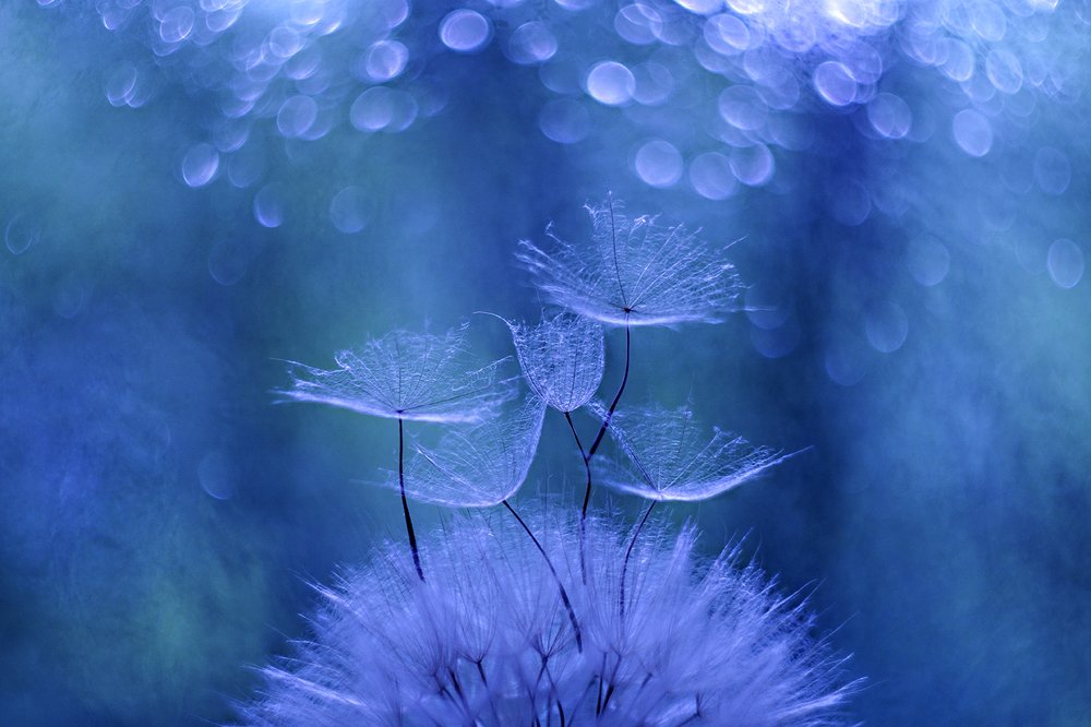 Легче воздуха.