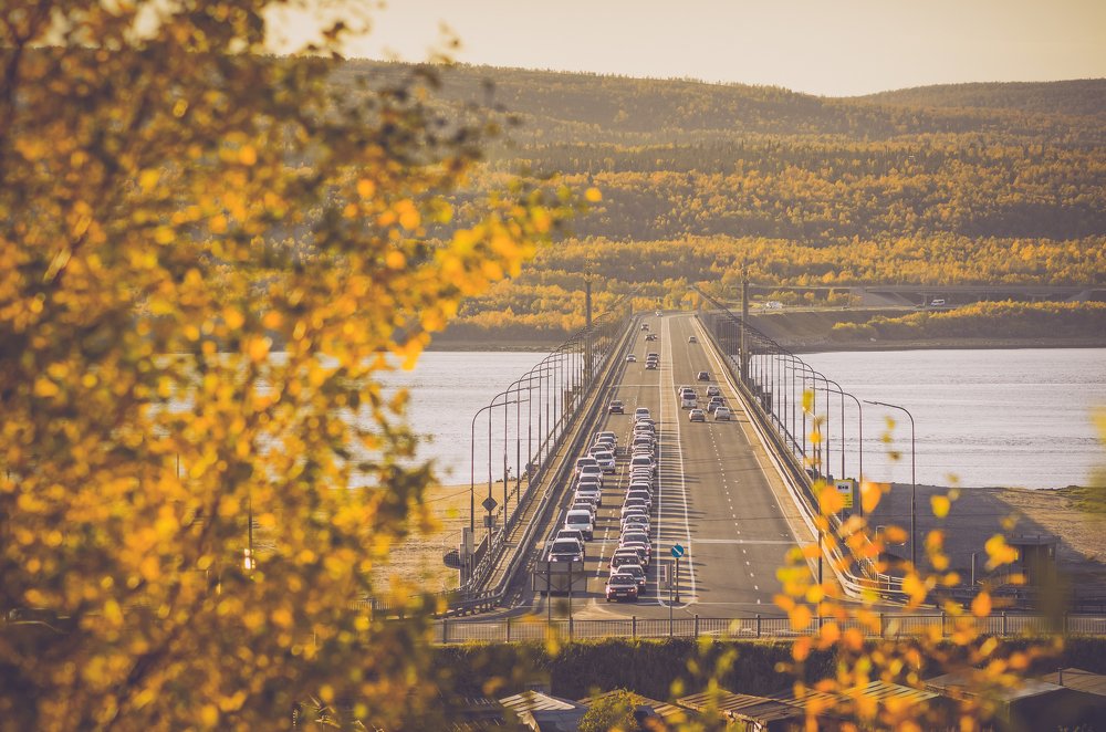 Золотая осень. Мурманск.