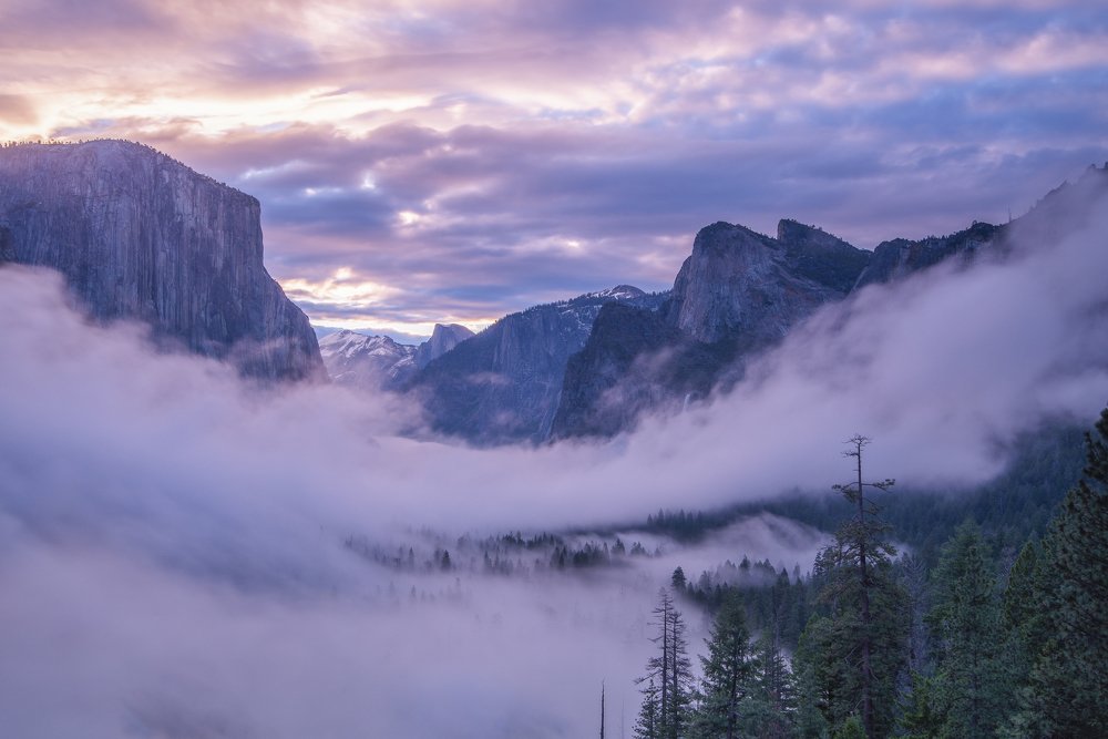 Yosemite mornings