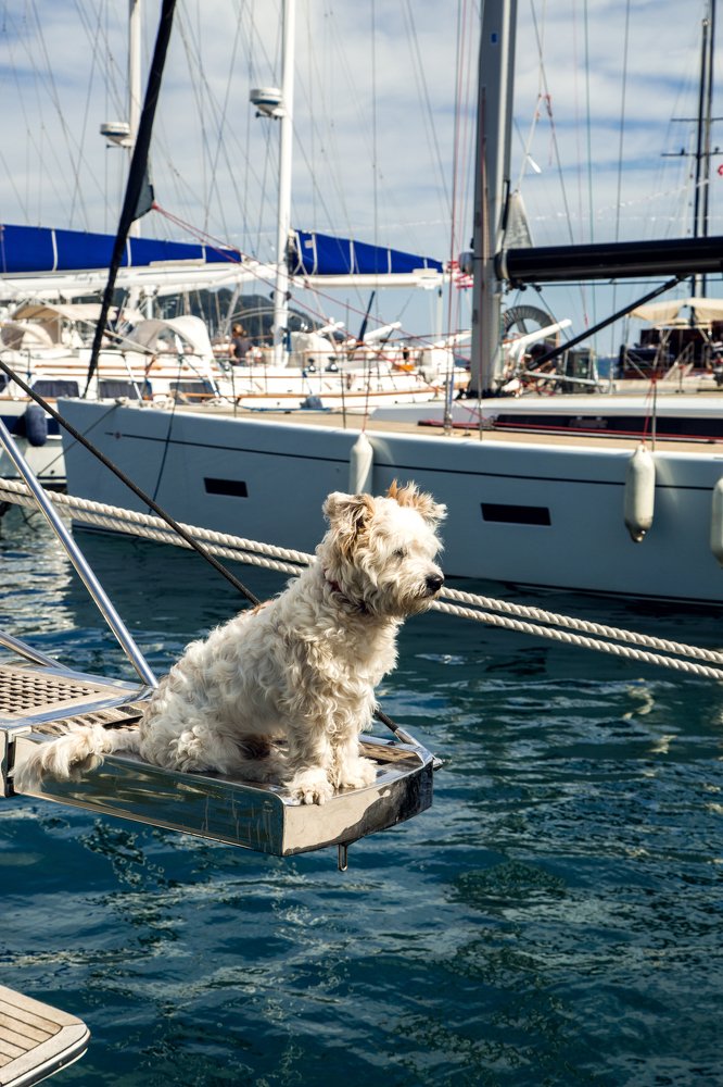 Photograph by Yuliya Golubtsova Genç